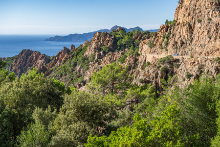 A winding Corsica road cuts through rugged mountains and dense greenery, leading to the vast blue sea. This stunning view captures nature's beauty on a clear day.の写真素材