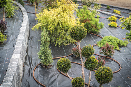 A vibrant landscape design showcases diverse plants in a meticulous layout with an integrated irrigation system on black fabric.の写真素材