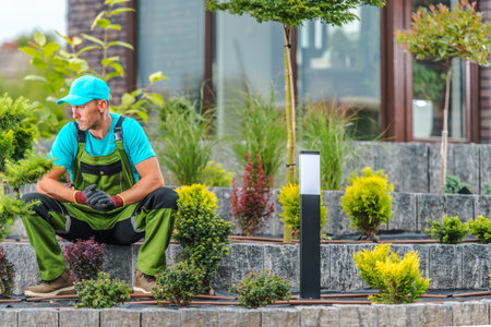 A gardener relaxes on stone steps surrounded by various plants in a residential setting during the daytime.の写真素材