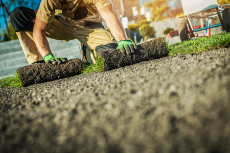 A worker is laying down fresh sod on gravel in a garden. The sun shines in the background.