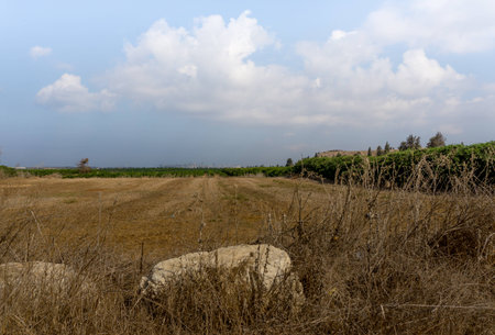 Bike-view on Netaniaの写真素材