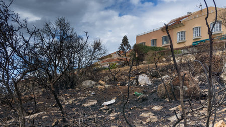 A building with a view to burn trees in the front of mauntainの写真素材