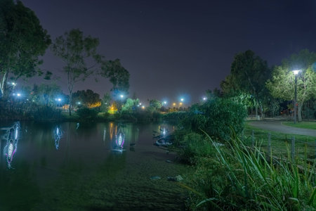 Trees reflecting in a Spreckles Lake with many ducksの写真素材