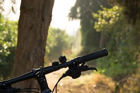 Handlebar Assembly with Front Black Bike Light Illuminated Shining Brightly in front of Forest at...