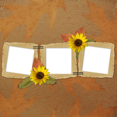 Autumn background with frames and flowers の写真素材