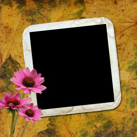 Autumn background with frame and flowers の写真素材
