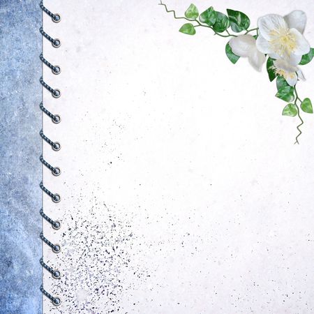 album cover の写真素材