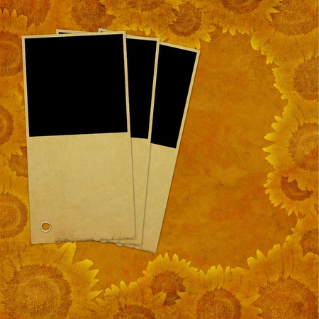 Framework for photo or invitation の写真素材