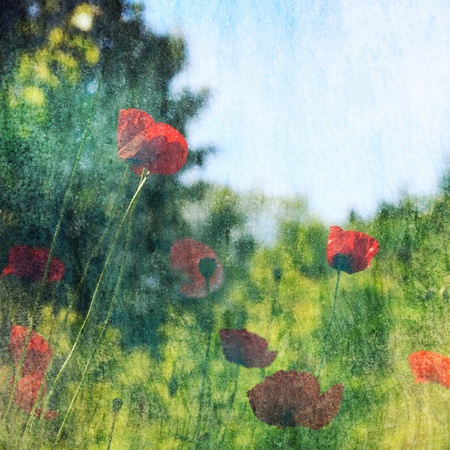 Beautiful Floral Background の写真素材