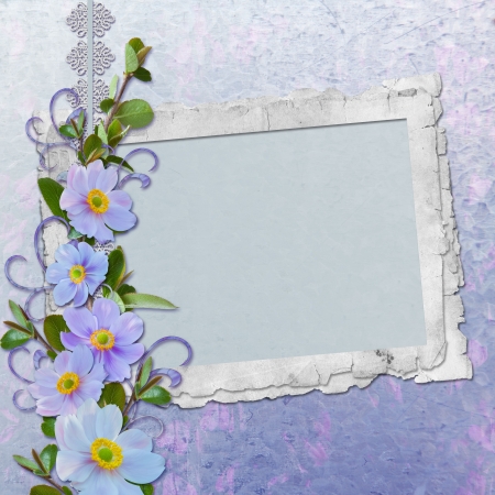 Framework for photo or congratulation の写真素材