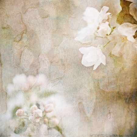 decorative vintage paperの写真素材