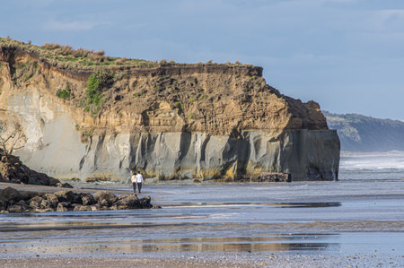 Kai Iwi Beach on West Coast of New Zealand.の写真素材
