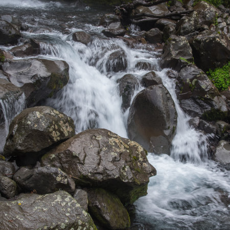 Dawson Falls on Mt Taranaki, New Zealand. A rainforest beauty.の写真素材