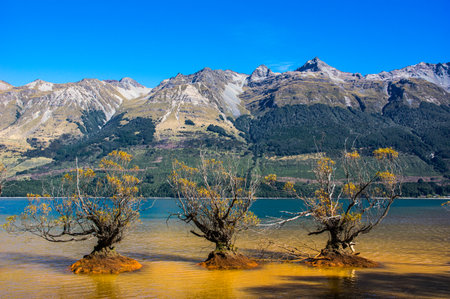 Glenorchy Shoreline at Lake Wakatipu, near Queenstown, New Zealand.の写真素材