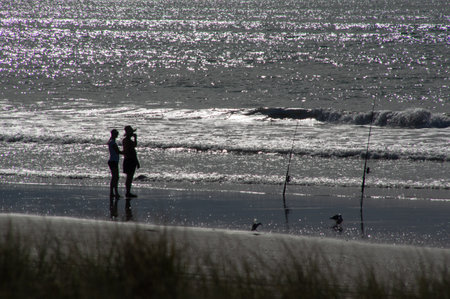 Silhouette of couple surfcasting on a beach in New Zealand at sunset. 2の写真素材