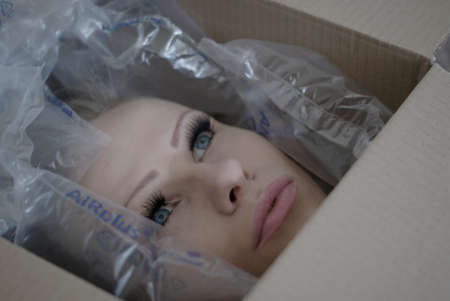 Female Head in a Boxの写真素材