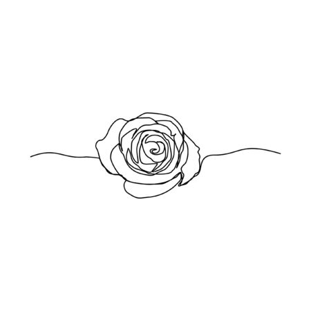 Rose flower continuous line one line artのイラスト素材