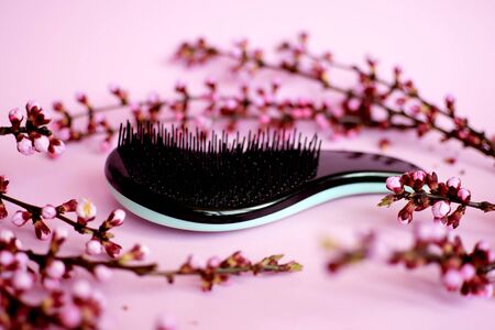 Modern design plastic hairbrush isolated on pink coloured background with sprig first flower blossom. Sping minimal concept. Nature background, isolated, flat lay, copy space.の写真素材