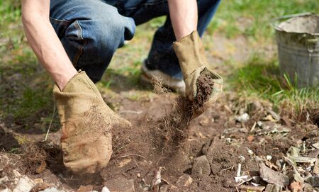 Close up shot hands in gloves in greenhouse holding soil. Gardening and building concept. Construction waste.の写真素材