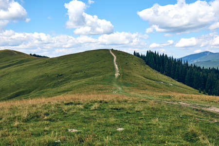 Mountains hills landscape during a sunny day with blue sky clouds. Dark autumn trees. Forest in summer. Hiking in wild mountains. Adventure Travel Concept.の写真素材