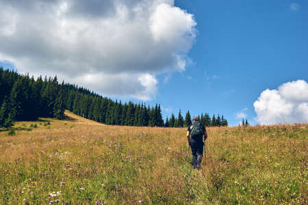 Man climbs uphill mountain. Sporty clothes and backpack. Hiking through forest in summer. A path between fir and pine-tree during a sunny day. Dark autumn forest. Hiking in wild mountain. Adventure Travel Concept.の写真素材