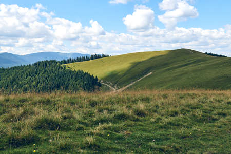 Mountains hills landscape during a sunny day with blue sky clouds. Dark autumn trees. Forest in summer. Hiking in wild mountains. Adventure Travel Concept.の写真素材