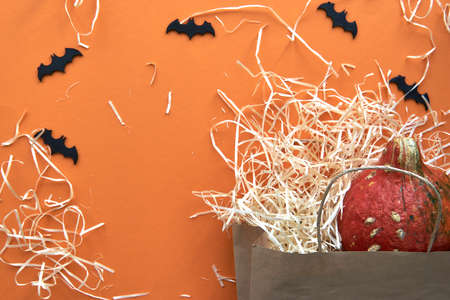 Autumn composition. Pumpkin and bats on orange background in craft paper bag. Template autumn, fall,...