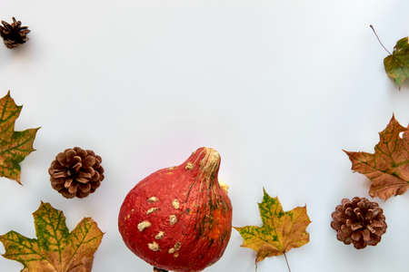 Autumn composition. Frame made of Pumpkins,dried leaves and pine cones on white background. Template autumn, fall, halloween, harvest thanksgiving concept.の写真素材