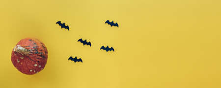 Autumn composition. Pumpkins and decorative bats background. Template autumn, fall, halloween, harvest thanksgiving concept. Flat lay, top view, copy space banner.の写真素材