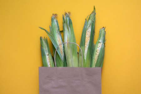 Paper craft bag with corn harvest on yellow background. Top view of different groceries farm shop,...