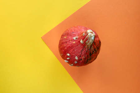 Autumn composition. Pumpkin isolated on colorful yellow and orange background. Template mockup fall,...