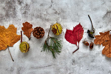 Autumn frame made of dried leaves, branches, pine cones, berries, acorns and hand with cup of coffee on dark concrete background. Template mockup fall, halloween. Flat lay, copy space backgroundの写真素材