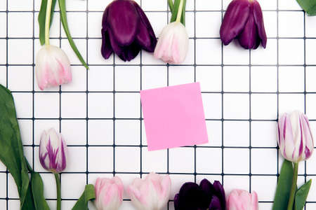 Flat-lay frame of tulips.の写真素材