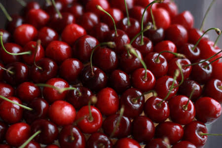 Lots of red cherry berries in a berry-based bouquet in daylight. Smooth, round delicious bouquet. Rasfokus, fudfloristika, floristika.の写真素材
