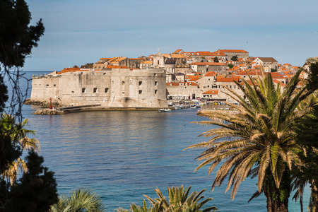 Varying types of trees frame the walled old town one morning - captured along a coastal road leading to the town.のeditorial素材