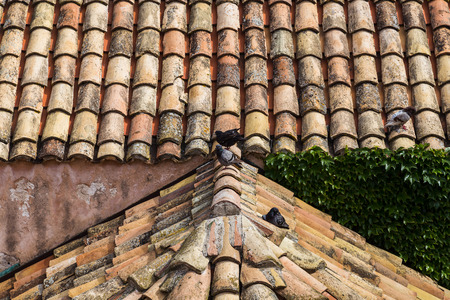 Terracotta-roof town houses seen in Dubrovnik's old town.