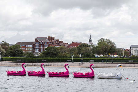 Bird pedalos lined up in Southport marina (England) during the Covid19 lock down in the summer of...