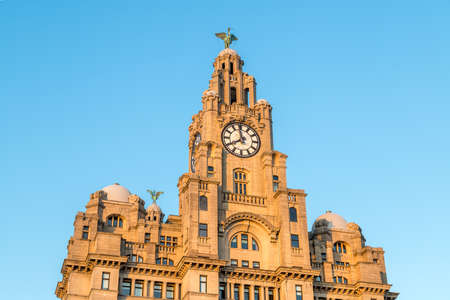 The large Liver Birds stand proudly either end of the Royal Liver Building on the Liverpool waterfront captured in August 2021.のeditorial素材