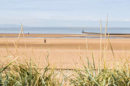 Three of the one hundred Iron Men which make up Antony Gormley's Another Place on Crosby beach seen over the Marram grass in August 2021.のeditorial素材