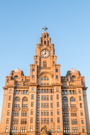 Looking up at the Royal Liver Building on the Liverpool waterfront one evening in August 2021 as the sun begins to set.のeditorial素材