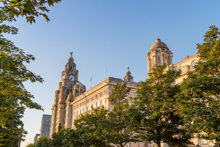 Trees line the boulevard along Pier Head in Liverpool as the Royal Liver Building, Cunard Building and Port of Liverpool Building occupy the skyline.のeditorial素材