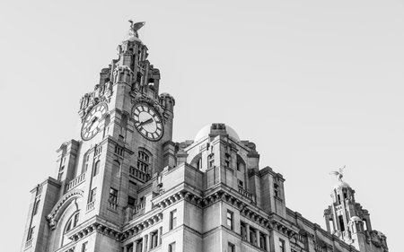 Monochrome HDR image of the Royal Liver Building which dominates the Liverpool skyline seen in August 2021.のeditorial素材