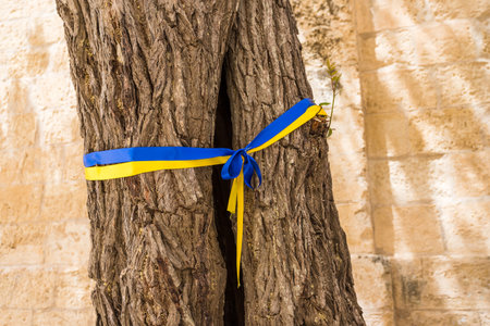 A blue and yellow ribbon seen tied round a tree in Mdina, Malta in solidarity of Ukraine seen during their conflict with Russia in April 2022.の写真素材