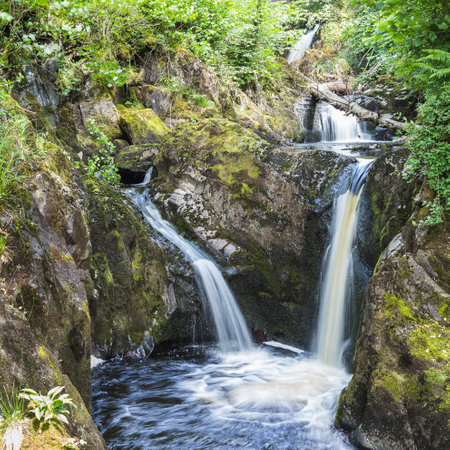 A square crop image of Pecca Falls seen along the Ingleton Waterfalls Trail in North Yorkshire.の素材 [FY310207436493]