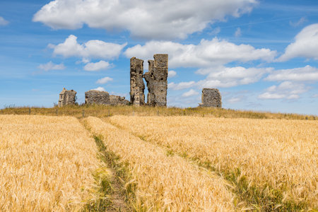 Tractor wheel marks lead to the ruined church of St James seen in July 2022 at Bawsey in West Norfolk.の写真素材