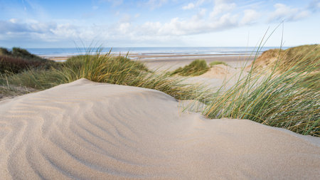 Beautiful patterns pictured on the sand dunes between the marram grass above Formby beach.の写真素材