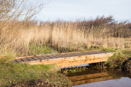 Foot bridge over still water on a pond on the Ainsdale coast in Merseyside seen in the winter sunlight.の写真素材