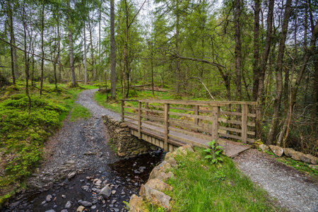 A footbridge and pathway pictured over a stream under High Dam Tarn in the Lake District seen in May 2023.の写真素材