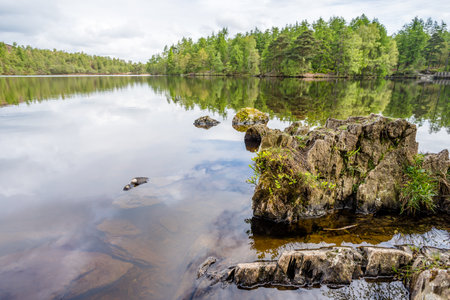 Rocks seen in and poking out of the still water of High Dam Tarn in the Lake District pictured under a bright spring sky.の写真素材