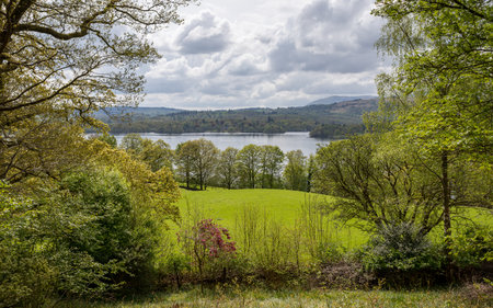 Lush green trees frame a viewpoint towards Lake Windermere in the Lake District seen from Stagshaw Gardens.の写真素材